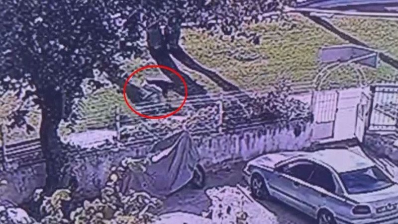 Antalya'da kan donduran olay! Parkta yürüyen kişiyi öldürdü! Cinayet sonrası şoke eden detay - Resim: 8