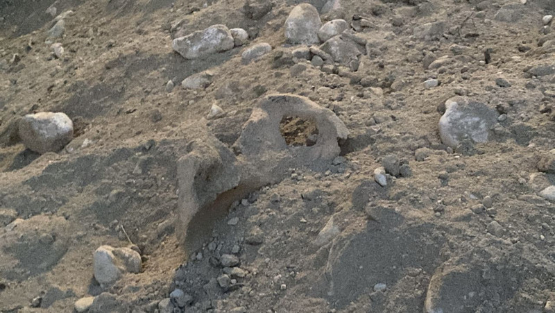 Tüyler ürperten olay! Kazı çalışmasında insan kemikleri bulundu - Resim: 1