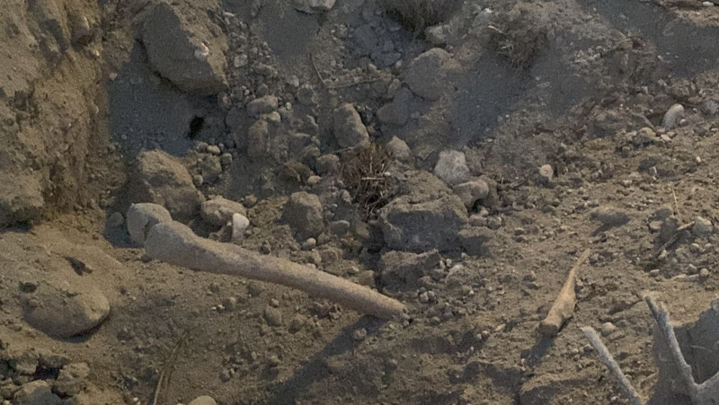 Tüyler ürperten olay! Kazı çalışmasında insan kemikleri bulundu - Resim: 3