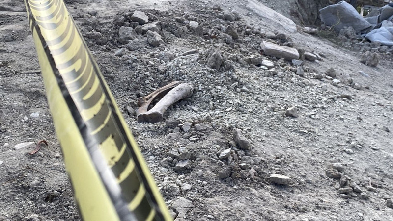 Tüyler ürperten olay! Kazı çalışmasında insan kemikleri bulundu - Resim: 4