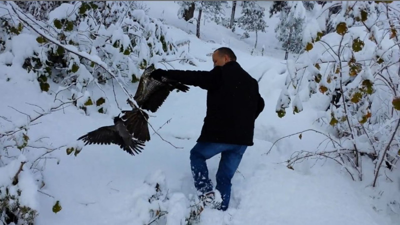 Giresun’da yol kenarında pençelerinin arasından can çekiyordu! Vatandaşlar doğadaki manzaraya kayıtsız kalmadı - Resim: 3