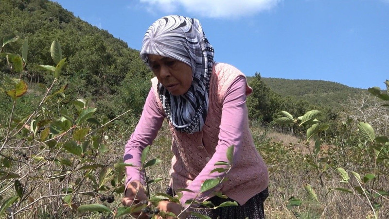 Oğlu tavsiye etti, paraya para demiyor! Kanser ve şeker hastaları akın ediyor! 5 kilodan az alan yok - Resim: 2
