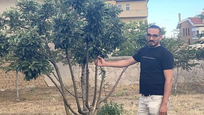 Konya'da 200'lerce ağacının içerisinden 1 tanesini gören vatandaş, ağacın üzerindeki detayı fark edince dondu kaldı. Sadece 1 tanesi öyleydi - Resim: 2