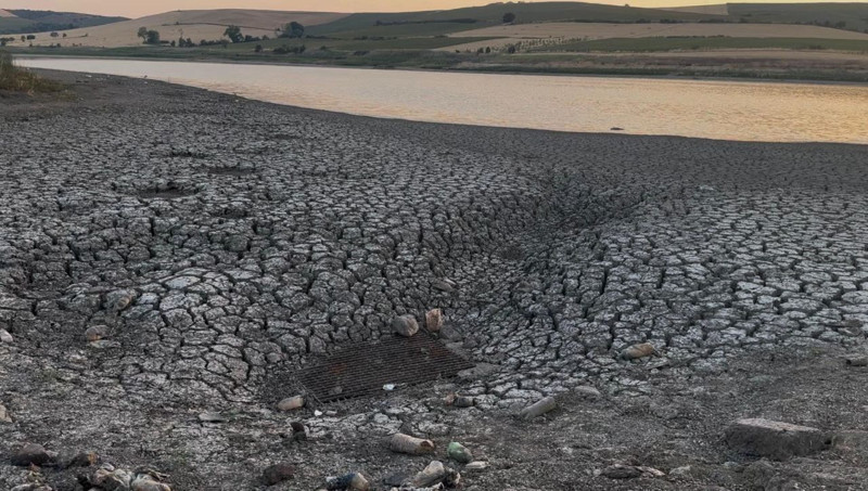 Tekirdağ’da doğanın tam ortasında korkunç tablo! Yüzlerce canlı için artık çok geç - Resim: 1