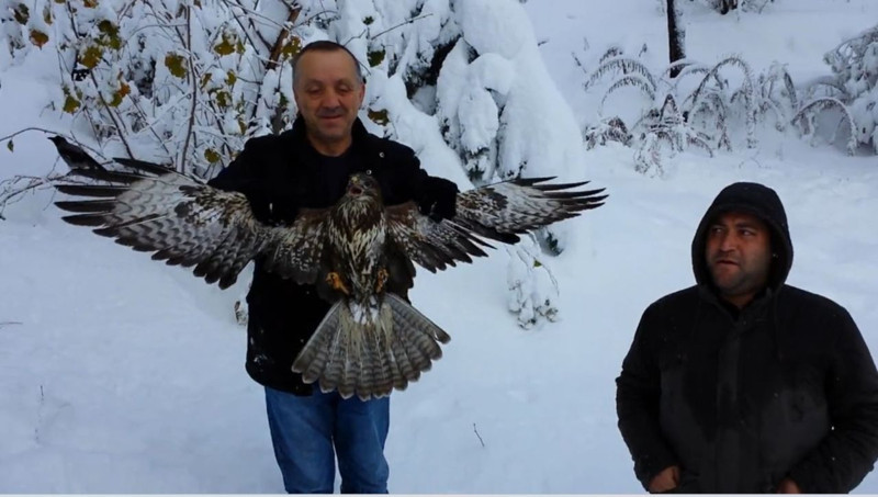 Giresun’da yol kenarında pençelerinin arasından can çekiyordu! Vatandaşlar doğadaki manzaraya kayıtsız kalmadı - Resim: 2