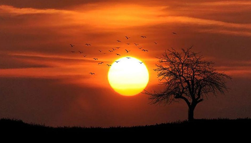 Meteoroloji alarm verdi: Kuvvetli yağış ve fırtınaya dikkat! O bölgelere kar geliyor - Resim: 11