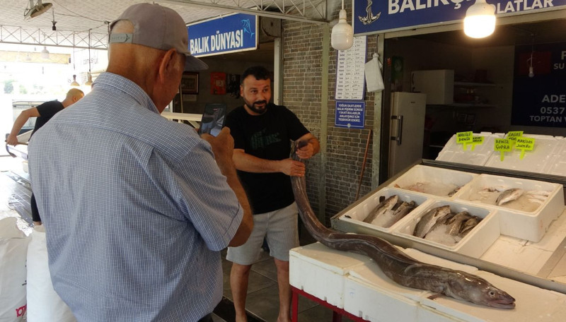 Mersin'de 2 metre uzunluğunda tezgaha serildi! Gelen geçen herkes baktı - Resim: 3
