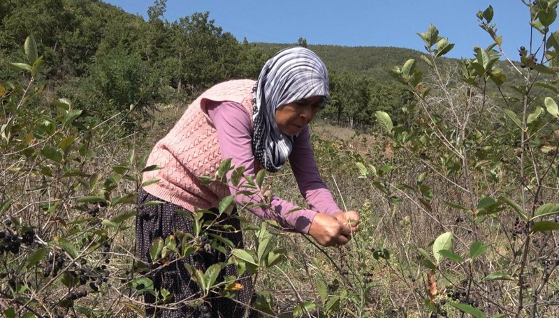 Oğlu tavsiye etti, paraya para demiyor! Kanser ve şeker hastaları akın ediyor! 5 kilodan az alan yok - Resim: 3