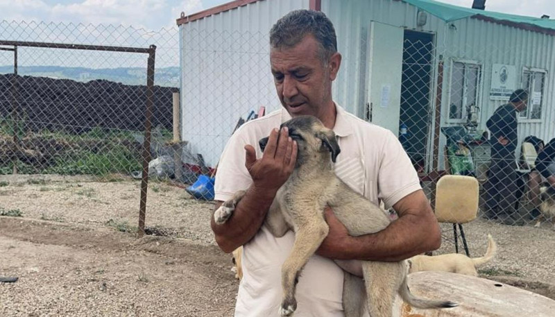 Osmaniye'de 2 tane hayvanı yan yana görmesinin ardından yanlarına gitti. 1 tane hayvanla ilgili detayı fark edince gözyaşlarını tutamadı - Resim: 6