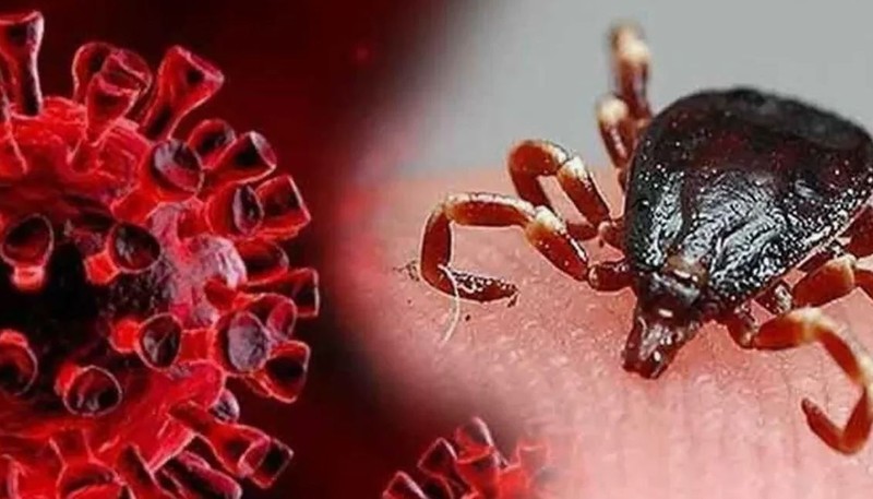 KKKA kabusu geri döndü! Can kayıpları artıyor! Peki virüs bulaşıcı mı? Hangi bölgeler tehlike altında? İşte detaylar! - Resim: 1