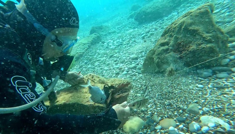 Antalya'da dalış yaptığı yerde, korkunç bir manzarayla karşılaştı. 3 tanesi suyun altında ölmek üzereydi - Resim: 4