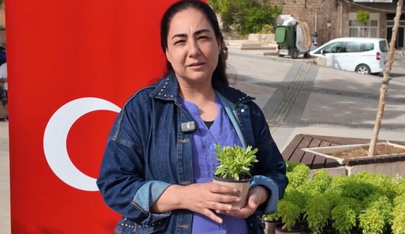 Mardin'de doğadan teker teker getirilen 60.000 tanesi 0 karşılık ile dağıtıldı. Vatandaş kapış kapış alıp götürdü - Resim: 3