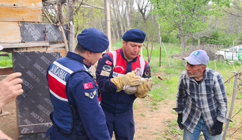 Yozgat'ta jandarma ekipleri doğada 1 adım bile atamayacak bir halde buldu! Hareketleri yürek ısıttı - Resim: 1