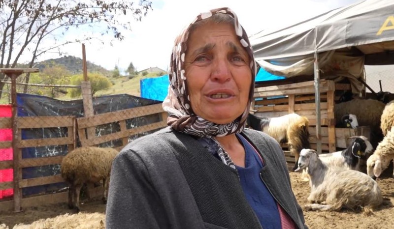 Kırıkkale’de koyunu değil sadece 1 tane kuzusu vardı. 1 tane kuzusundan sonra sayı 24 koyuna çıktı. Çiftçi ahıra gidip gördüğü manzara ile yıkıldı - Resim: 1