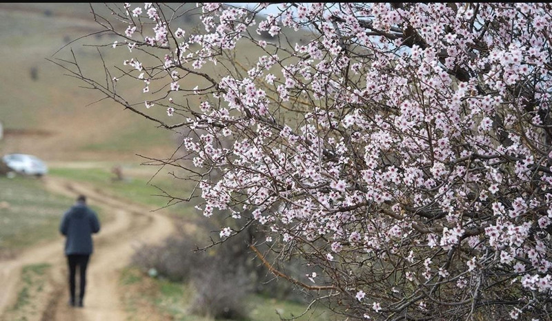 Meteoroloji uyardı! Hafta sonu planı olanlar dikkat! Termometreler şaşırtacak! - Resim: 6