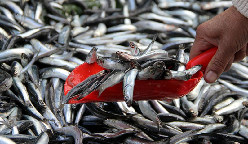 Hem kilo almamak, hem de hasta olmamak istiyorsanız bu kurallara dikkat! - Resim: 6