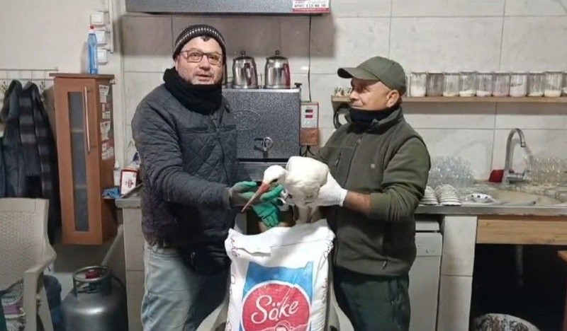 Her yıl mart ayında soluğu Aydın'da alıyordu. Ocak ayında gelince soğuk havaya dayanamadı, evin bahçesine sığındı - Resim: 2