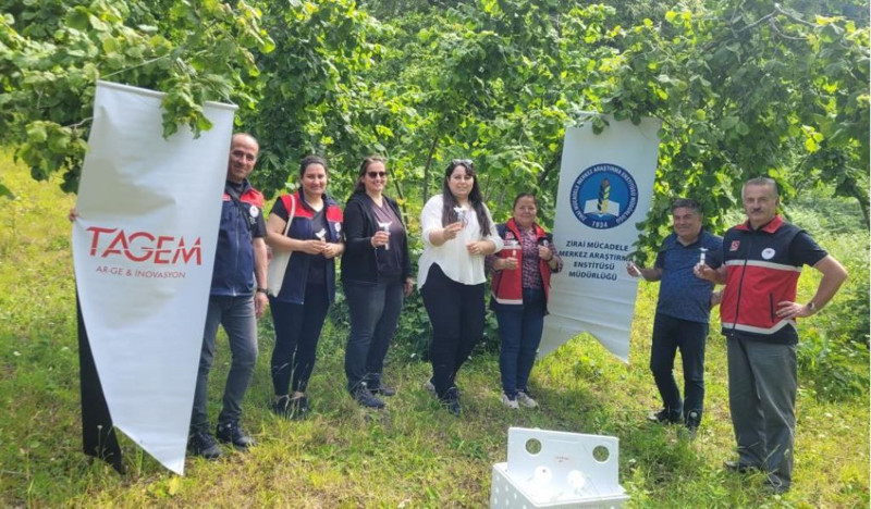 Kastamonu'da haftada bir çırpıda 200.000 ile çoğalan istilacı hayvana karşı hazırlık sürüyor. 5.000 yeni tanesi doğaya salındı - Resim: 4