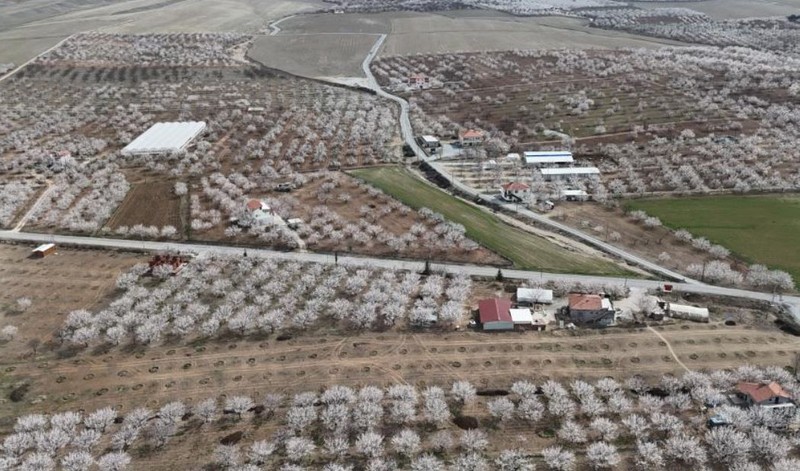 Malatya 22 derecelik havada beyaz gelinliğini giydi... Her taraf bembeyazla kaplandı. Ortaya müthiş bir manzara çıktı - Resim: 2