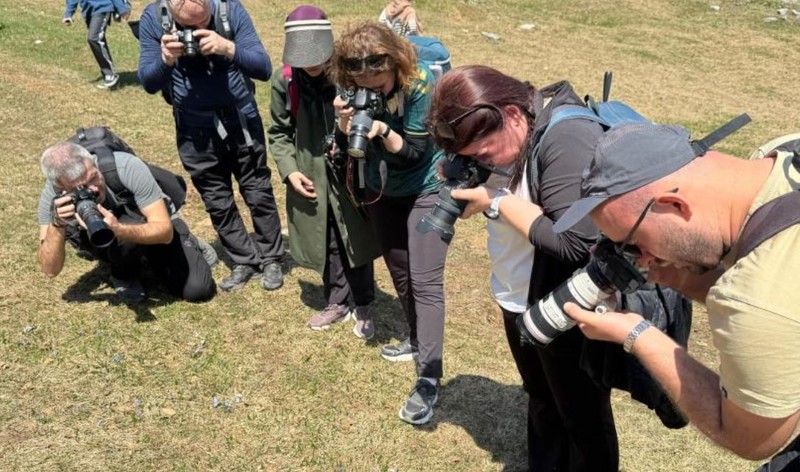Kocaeli'de doğada 100'lerce var. Kocaeli'den dışarı çık başka yerde 1 tane bile bulamazsın. Acil uyarı verildi kimse sakın yemesin - Resim: 6
