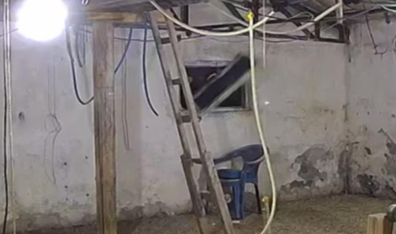 Bolu'da 10.000'lerce hayvanın olduğu yere girmeye çalışırken yakalandı. Tek 1 başına 10.000'lercesine kafa tutacaktı - Resim: 2