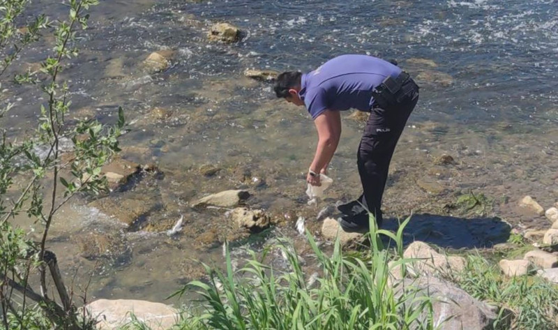 Van'da 2000'lerce hayvan ters yöne doğru akına geçti. Polisler 1 tanesine bile bir şey olmasın diye nöbet tutuyor - Resim: 3