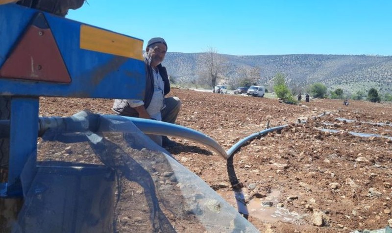 Konya'da 1'er 1'er toprağa bırakılmaya başlandı. Üzerine ne gelirse gelsin onu topraktan koparamaz. Yakında Konya'da her yerde dolacak - Resim: 4