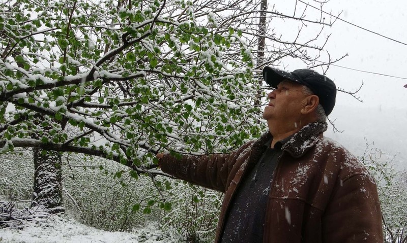 Giresun'da büyük tedirginlik başladı... Sadece Giresun değil tüm Türkiye için... 1000'lercesi tehlike altında - Resim: 4