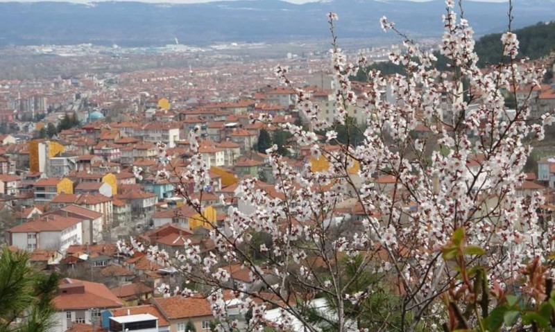 Kütahya'dan Türkiye'ye 100'lercesinden bu kez kötü haber değil güzel haber! Tam tarihinde oldu, herkes yine şaşırdı - Resim: 3