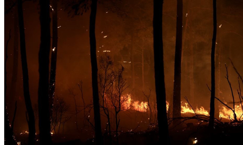 4 ilde yangın kabusu! Meteoroloji'den 11 il için sarı kod! Şiddetli rüzgar yangın riskini artırıyor: 70 kilometre hızla esecek - Resim: 4