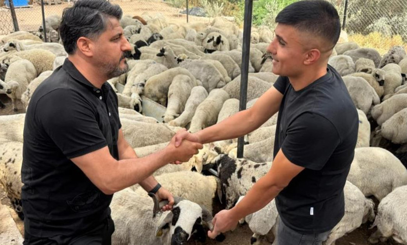 Adana'da 10.000'lerce koyun tek tek görücüye çıktı. Koyunlar hakkında flaş uyarı da yapıldı: "Karnında onu görürseniz uzak durun" - Resim: 3