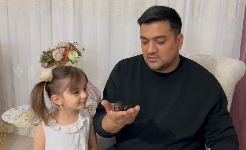 Tokat'ta yerde hareketsiz halde görünce ilk anda yaralı sandı. Eve götürüp beslemeye başladı, sonra doğaya bıraktı - Resim: 3