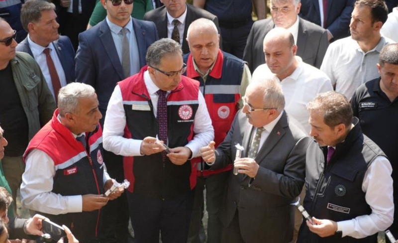 Samsun, Ordu, Trabzon, Düzce, Sakarya, Marmara'da çalışmalar acilen hızlandırıldı! 15.000 + 300 tanesi daha doğaya salındı - Resim: 2