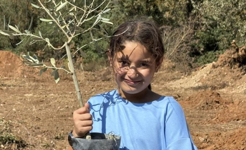 Muğla’da tam 300 tanesi birden toprakla buluşturuldu. Hepsi boy boy yükselecek - Resim: 2