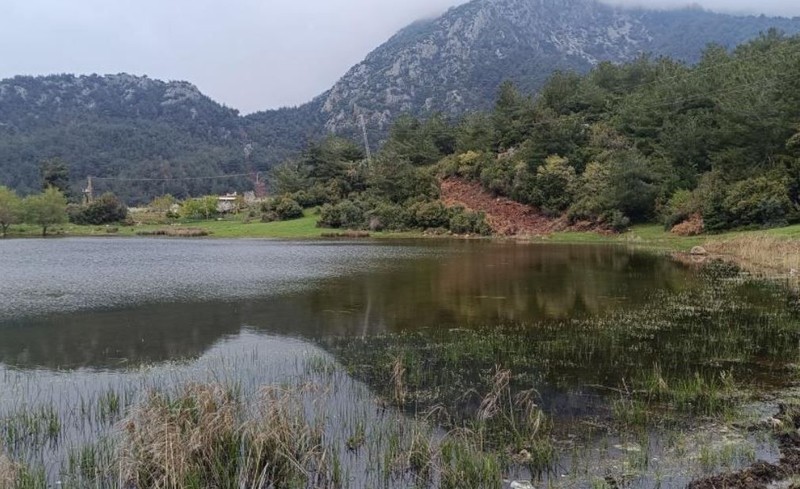 Manisa'dan Türkiye için resmen felaket haberi! 10 yıl sonra ilk kez görülen kara hayvan kara bir haberi de beraberinde getirdi! Bolu'ya gidiyor - Resim: 2