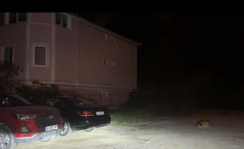 Sarıyer'de korkunç olay! Emekli öğretmen cam siliyordu: 10 metreden düşerek öldü - Resim: 3