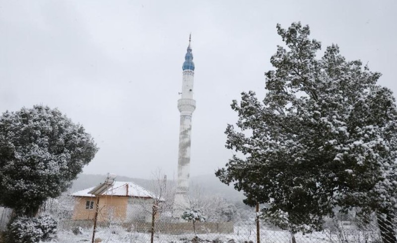 Muğla'dan Türkiye için korkunç beyaz haber. Kar üzerine üzerine doğru yağdı. Sadece 1, 2  tanesi değil hepsi böyle bizim için felaket - Resim: 6