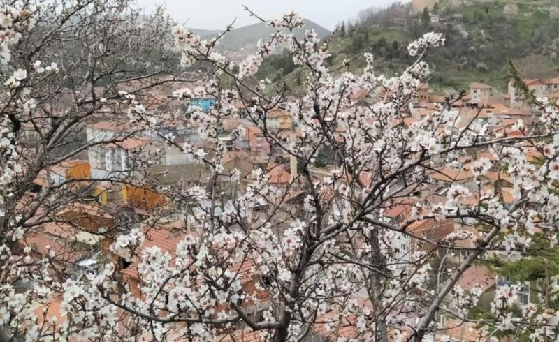 Kütahya'dan Türkiye'ye 100'lercesinden bu kez kötü haber değil güzel haber! Tam tarihinde oldu, herkes yine şaşırdı - Resim: 4