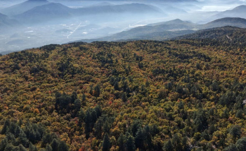 Türkiye'de buraya izinsiz sakın 1 adım bile atmayın! 557 bin 212 TL cezası var - Resim: 8