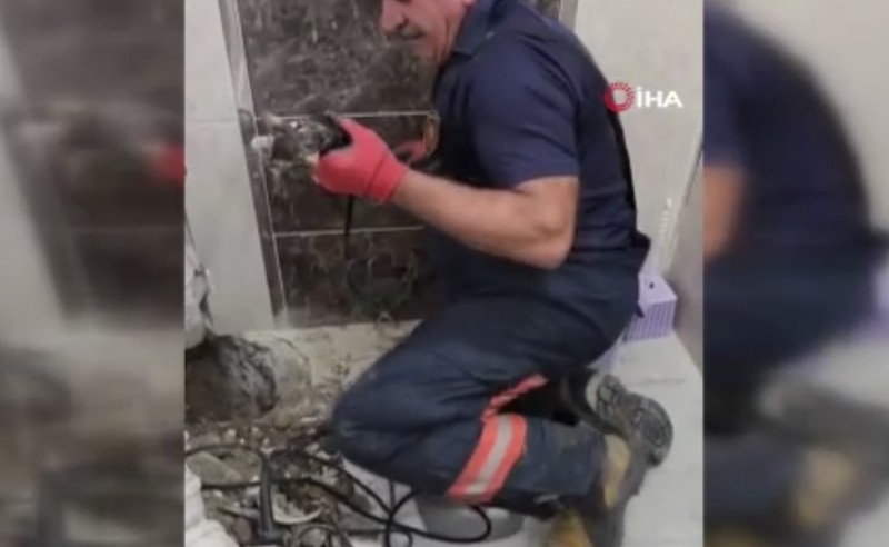 Malatya'da ihbar üzerine giden ekipler, atık su hattındaki manzarayı görünce yürekleri sızladı. 1 saat boyunca uğraştılar - Resim: 3