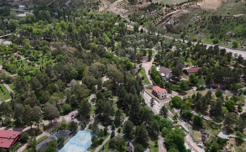 Sivas'ta tek 1 tane hayvan büyük korku saldı! Doğada korkudan o bölgeye tek 1 kişi bile gitmedi her yer bomboş kaldı - Resim: 4