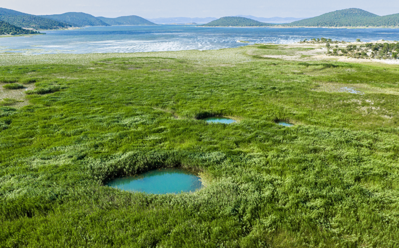 Beyşehir Gölü'nde kuraklık nedeniyle su seviyesi düştü, yeni gözeler gün yüzüne çıktı - Resim: 1