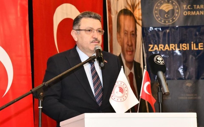Trabzon'da bir anda 400.000 tane çoğalan hayvana karşı büyük hazırlık başladı... 400.000 tanesi bir anda her yere dağılabiliyordu - Resim: 2
