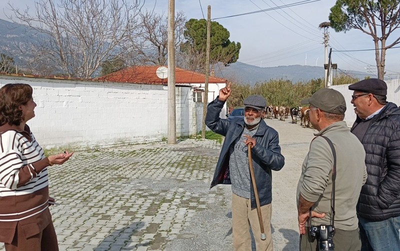 Aydın'dan Türkiye için ürküten haber. Sadece 1 tanesi geldi. O hayvan Türkiye'ye resmen giriş yaptı - Resim: 1