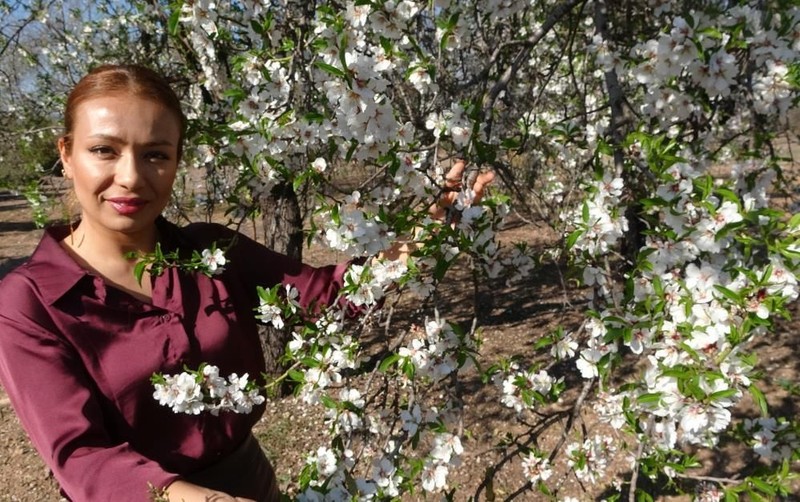 Mersin'de bahçedeki badem ağaçlarını kontrole giden vatandaş, 1,5 ay önceden gördüğü korkunç manzara ile sarsıldı. Her yerden fışkırmışlardı - Resim: 1