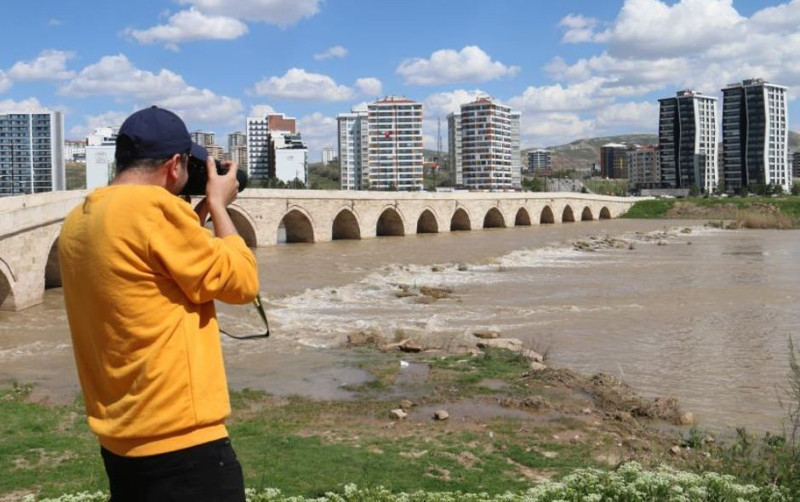 Sivas'ta 1 kez kafasını kaldırdı sonra yeniden kayıplara karıştı. Bu hayvanı şimdi 1 kez gördük ama ileride 0 kez göreceğiz - Resim: 1