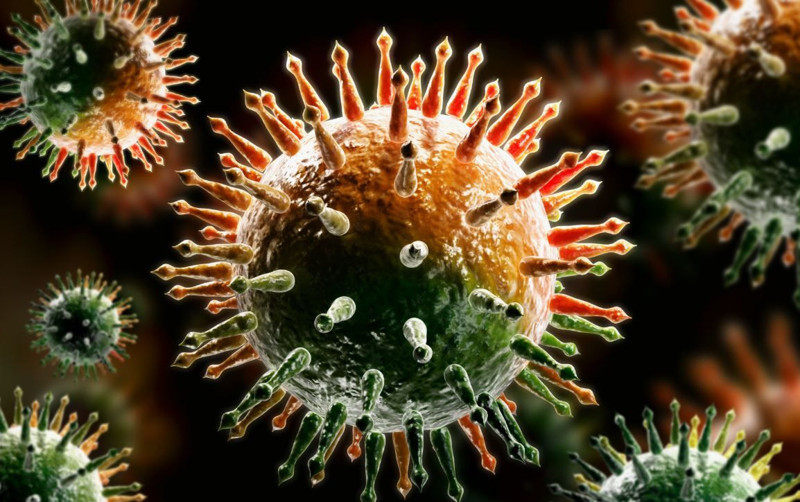 DSÖ korkutan virüs hakkında uyardı! Hızla yayılıyor! 42 ülkede 3 bin vaka! - Resim: 1