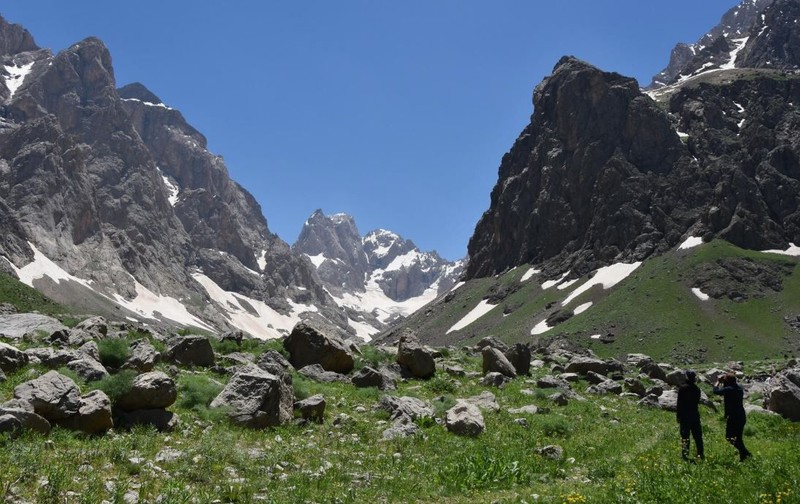 Hakkari'de doğada  2 bin 938 metre yükseklikte tespit edildi. Araştırmacılar 1 tane hayvanı görür görmez hemen resmi kayda aldı Türkiye'de ilk kez görüldü - Resim: 4