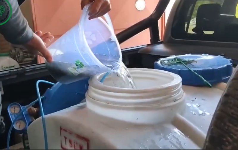 Bolu’da 100'lercesi doğada ormanın içerisine bırakıldı. Ormandaki sızıntılardan sızıp 1000'lerceye dönüşecekler - Resim: 2