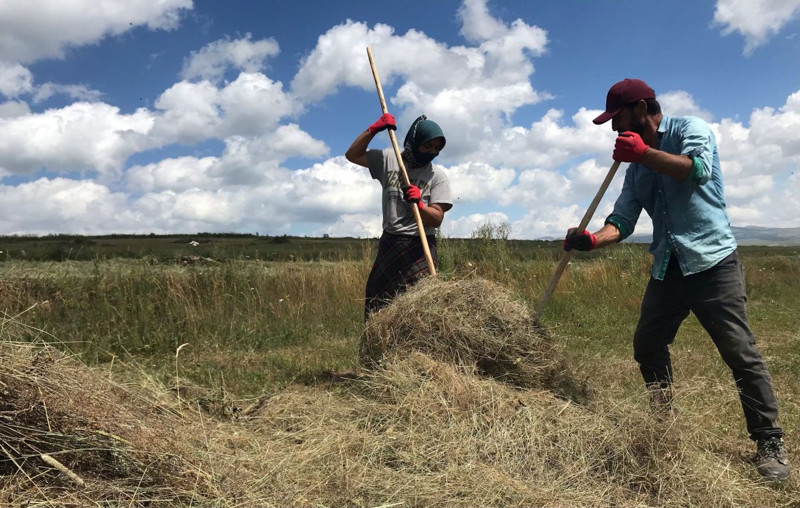 Ardahan’da asırlardır kullanılan aletle zorlu mera mesaisi başladı - Resim: 3